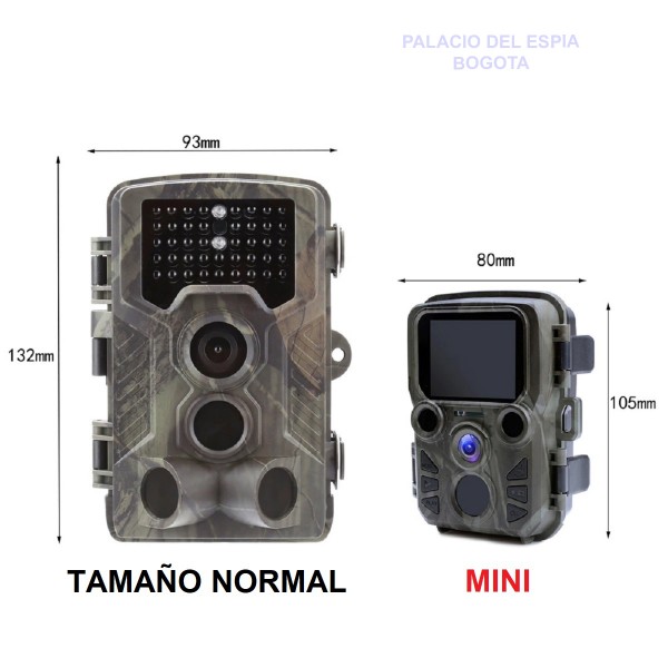 Cámara Mini Trampa Intemperie